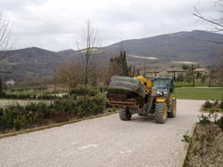 Dislocazione padane